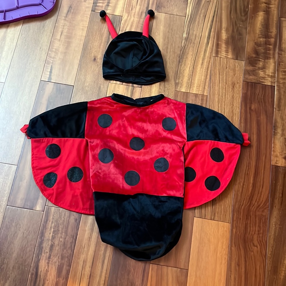 Lady Bug Newborn Halloween Costume